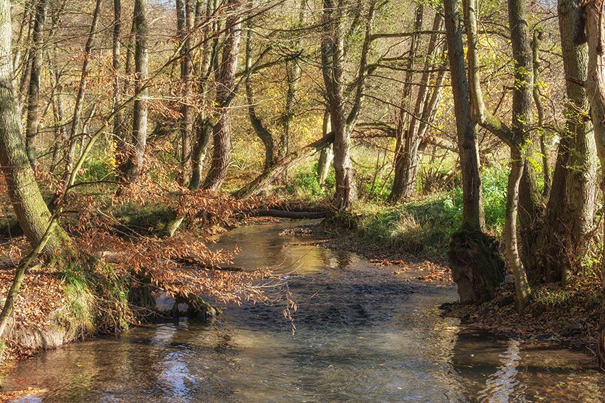Naturschutzgebiet NEandertal Wohnung Erkrath-Hochdahl
